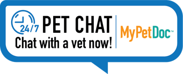 pet chat