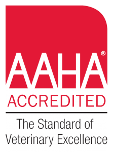 AAHA ACCREDITED licence with the slogan "The Standard of Veterinary Excellence